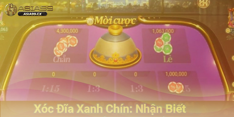 Nguyên tắc vận hành của cách xóc đĩa xanh chín cho hội viên
