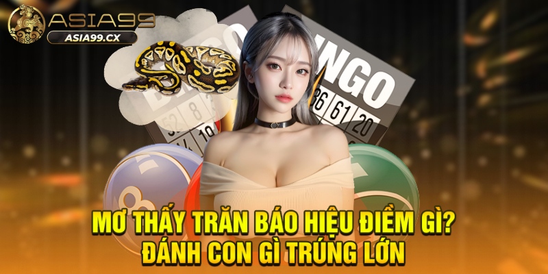 Mơ thấy trăn báo hiệu điềm gì? Đánh con gì trúng lớn