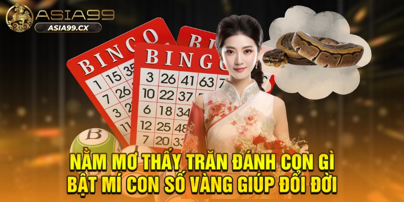Nằm mơ thấy trăn đánh con gì bật mí con số vàng giúp đổi đời