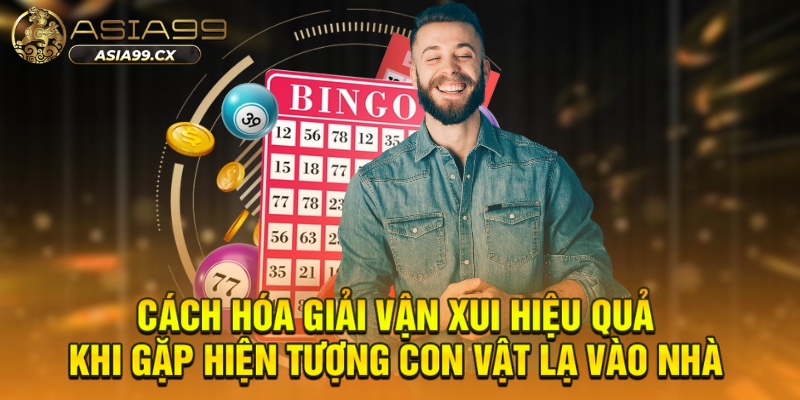 Cách hóa giải vận xui hiệu quả khi gặp hiện tượng con vật lạ vào nhà