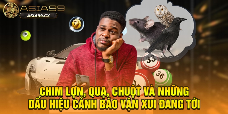 Chim lợn, quạ, chuột và những dấu hiệu cảnh báo vận xui đang tới