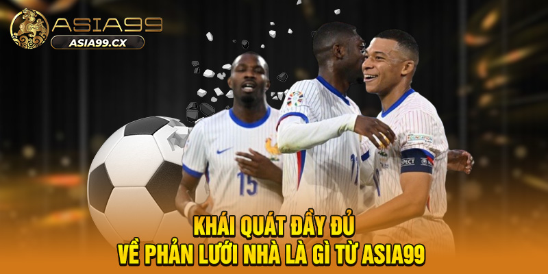 Khái quát đầy đủ về phản lưới nhà là gì từ asia99