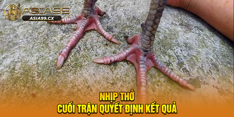 Nhịp thở cuối trận quyết định kết quả